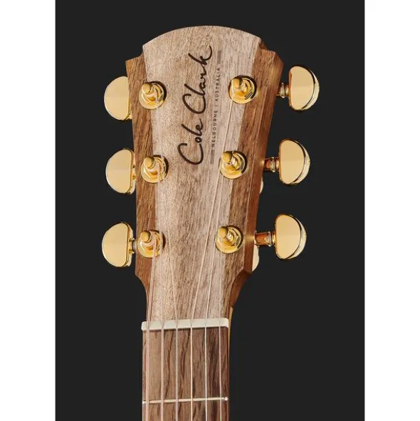 Cole Clark TL2EC-BLBL-HUM