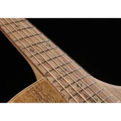 Cole Clark TL2EC-BLBL-HUM