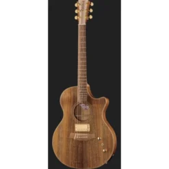 Cole Clark TL2EC-BLBL-HUM