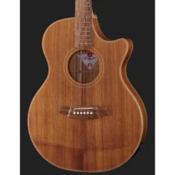Cole Clark TL2EC-BLBL Thin line