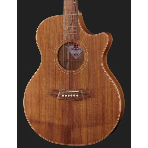 Cole Clark TL2EC-BLBL Thin line