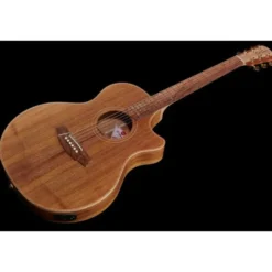 Cole Clark TL2EC-BLBL Thin line