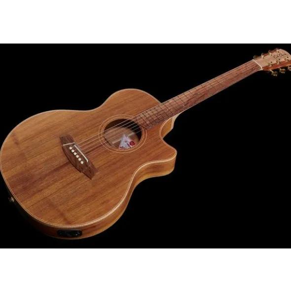 Cole Clark TL2EC-BLBL Thin line
