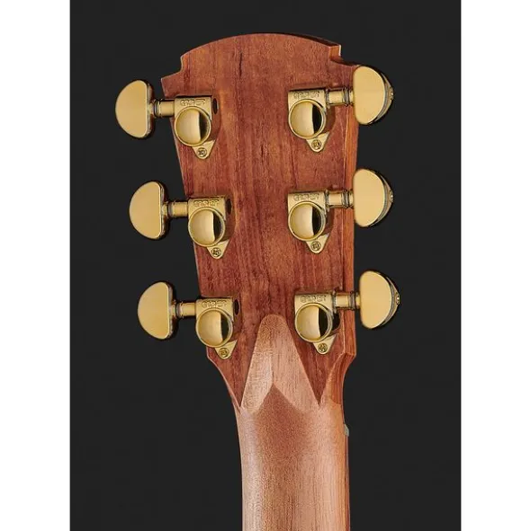 Cole Clark TL2EC-BLBL Thin line