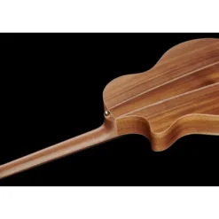 Cole Clark TL2EC-BLBL Thin line
