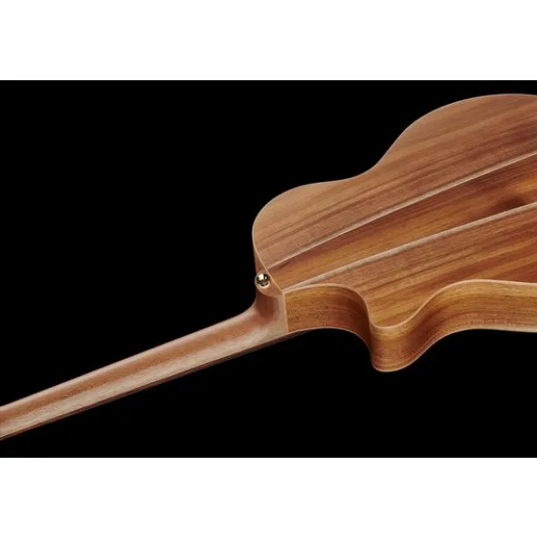 Cole Clark TL2EC-BLBL Thin line
