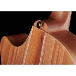 Cole Clark TL2EC-BLBL Thin line
