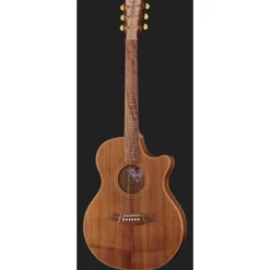 Cole Clark TL2EC-BLBL Thin line