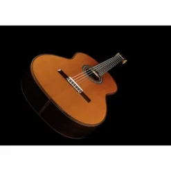 Cordoba C10 Cedar