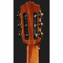 Cordoba C10 Cedar