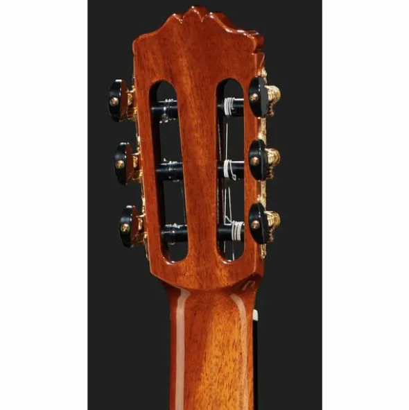 Cordoba C10 Cedar