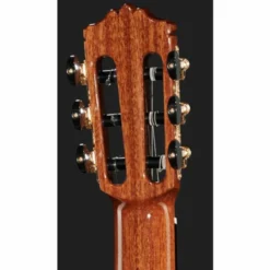 Cordoba C12 Cedar