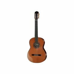 Cordoba C12 Cedar