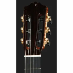 Cordoba C12 Cedar