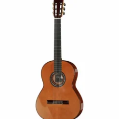 Cordoba C9 Parlor