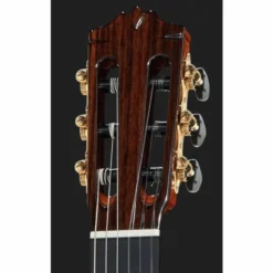 Cordoba C12 Spruce