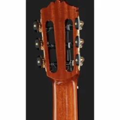Cordoba C12 Spruce