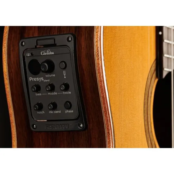 Cordoba Fusion Orchestra CE Cedar