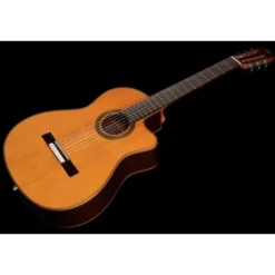 Cordoba Fusion Orchestra CE Cedar