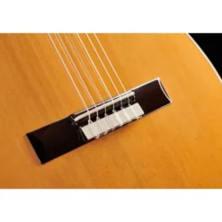 Cordoba Fusion Orchestra CE Cedar