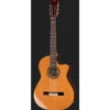 Cordoba Fusion Orchestra CE Ced Bundle