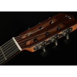 Cordoba Fusion 12 Rose II