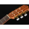 Cordoba Protege C1M 1/2