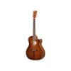 Cort Essence GA4 Brown TopB-Stock