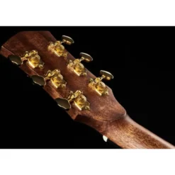 Cort Gold A6
