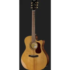 Cort Gold A6