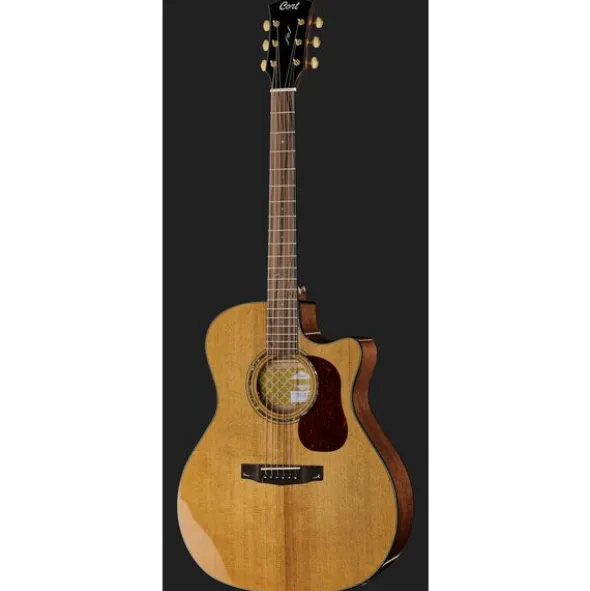 Cort Gold A6