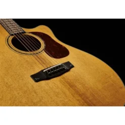 Cort Gold A6