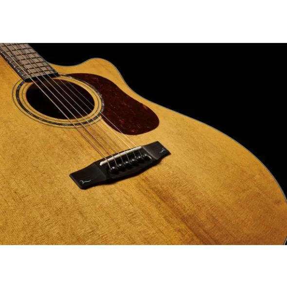Cort Gold A6