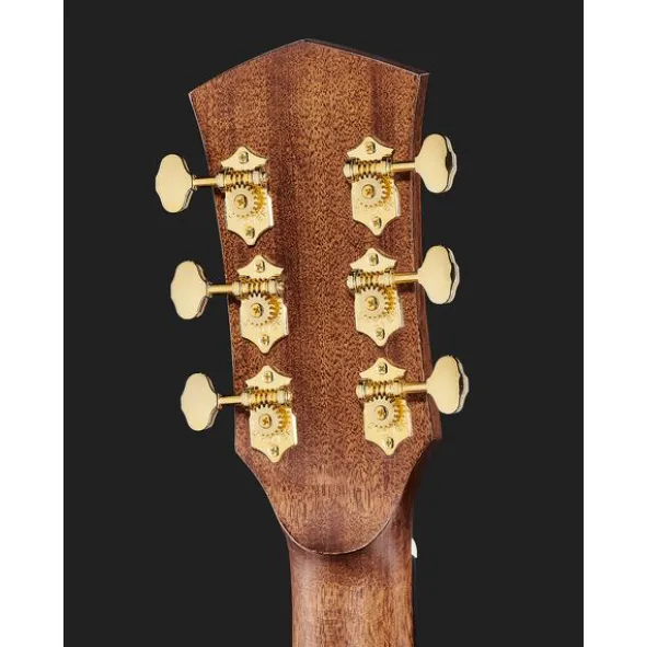Cort Gold A6