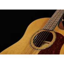Cort Gold A6