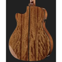 Cort Gold A6