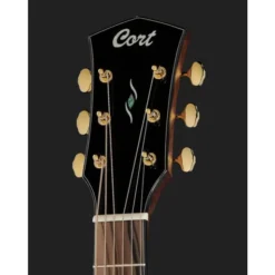 Cort Gold A6