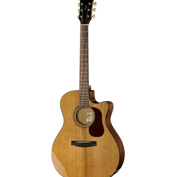 Cort Gold A6