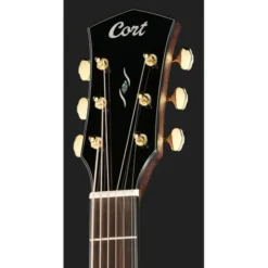 Cort Gold MC6 LB