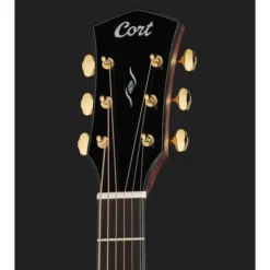 Cort GOLD MC6 NT