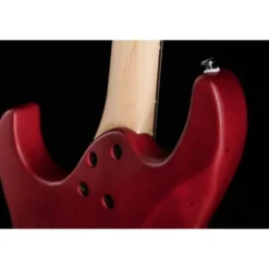 Cort G110 Open Pore Black Cherry
