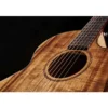 Cort SFX-Myrtlewood NT