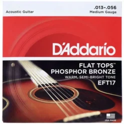 Daddario EFT17