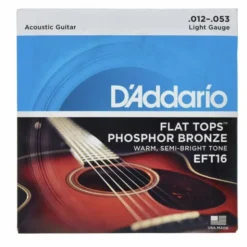 Daddario EFT16