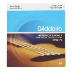 Daddario EPBB170