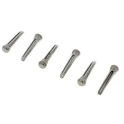 Daddario PS13 Bridge Pin Set Titanium