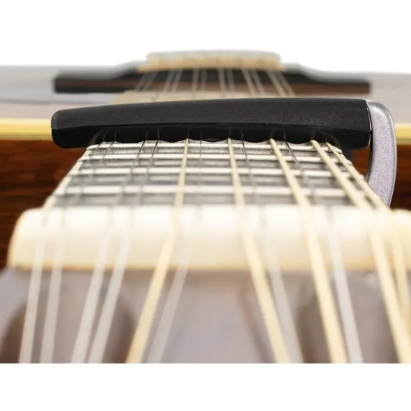 Daddario PW-CP-19S Pro Plus Capo Silver