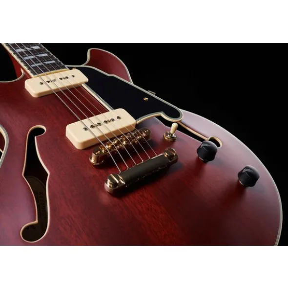 DAngelico Deluxe Mini DC Satin Trans Win