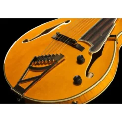 DAngelico Excel SS Soho Amber