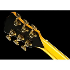 DAngelico Excel SS Soho Amber